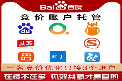 某电商平台sem竞价运营的突破与挑战